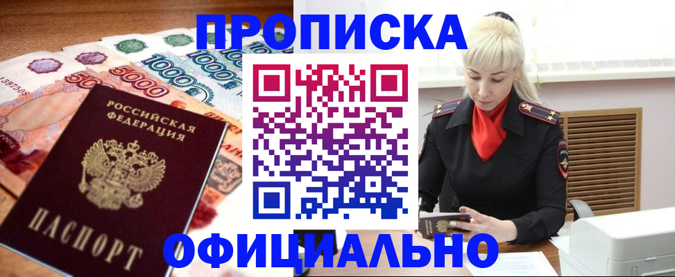 прописка поиск в Купино